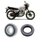 Rolamento e Retentor Flange Coroa Suzuki Katana Kit