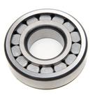 ROLAMENTO PINHAO (RELOGIO) para MBB 1726 1729 FORD 1630 1729