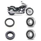 Rolamento Roda Dianteira Yamaha Drag Star 650 kit