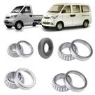Rolamentos Diferencial Traseiro Rely Van e Picape Kit