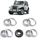 Rolamentos Diferencial Troller de 2002 até 2013 Kit