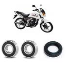 Rolamentos Roda Dianteira Shineray Max Kit