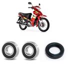 Rolamentos Roda Dianteira Shineray Wave Kit Rolamentos Roda Dianteira Shineray Wave Kit