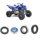 Rolamentos Roda Dianteira YAMAHA Raptor Kit