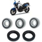 Rolamentos Roda Traseira BMW F800R kit