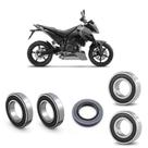 Rolamentos Roda Traseira KTM Duke 690 Kit