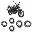 Rolamentos Roda Traseira Yamaha Fazer 250 2006 até 2010 Kit