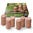Rollers Yellow Door Let's Roll Forest Friends, conjunto de 6