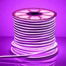 Rolo Fita Led roxo Neon Flex 50M 12v Prova D'agua Rolo Fita Led roxo Neon Flex 50M 12v Prova D'agua