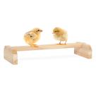 Roosting Bar Petsfit Chick Rooster Perch para pássaros cooperativos