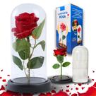 Rosa A Bela E A Fera - Pequeno Príncipe Cúpula Presente Led Rosa A Bela E A Fera - Pequeno Príncipe Cúpula Presente Led