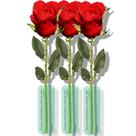 Rosa de Papel Vermelha - 100 Unidades - Decoração e Artesanato Rosa de Papel Vermelha - 100 Unidades - Decoração e Artesanato