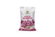 Rosa do deserto - Terra especial 2kg