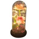 Rosa Dupla em Cupula Flor Redoma c/ Led Domo Bela e a Fera G