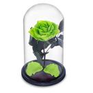 Rosa Encantada a Bela e a Fera na Cúpula de Vidro Cod 07