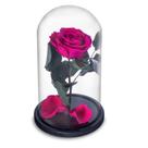 Rosa Encantada a Bela e a Fera na Cúpula de Vidro Cod 11