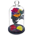 Rosa Encantada a Bela e a Fera na Cúpula de Vidro Multicolor