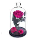 Rosa Encantada a Bela e a Fera na Cúpula de Vidro Pink