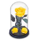 Rosa Encantada Eterna Preservada Box Luxo na Cúpula de Vidro