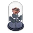 Rosa Encantada Eterna Preservada na Cúpula de Vidro