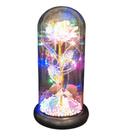 Rosa Eterna Iluminada Cúpula - Beijo