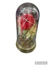 Rosa na cúpula com luz de leed