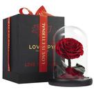 Rosa Preservada LOVAPPY Infinity Vermelha 16,5 cm com Cúpula de Vidro Rosa Preservada LOVAPPY Infinity Vermelha 16,5 cm com Cúpula de Vidro