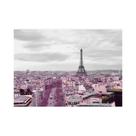 Rosa Preto Paris Torre Eiffel Pintura Em Tela Moderna França Cidade Paisagem Arte Da Parede Para