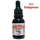 Rosa Rubiginosa 100% Puro Clareador de Manchas e Foliculite