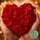 Rosa Vermelha - Ervas para Banho e Prosperidade Rosa Vermelha - Ervas para Banho e Prosperidade
