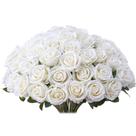 Rosas artificiais Jefuzh 30 peças de flores de seda branca