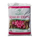 Rosas do deserto & bromelias sc 5 kg/10lts - mogifertil