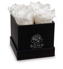 Rosas preservadas Soho Floral Arts em caixa preta quadrada de 4 quilates
