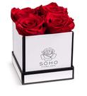 Rosas preservadas Soho Floral Arts em caixa quadrada branca de 4 quilates