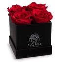 Rosas preservadas Soho Floral Arts em caixa quadrada preta de 4 quilates