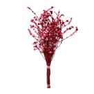 Rosinha Vermelho Desidratado Rosinha Vermelho Desidratado