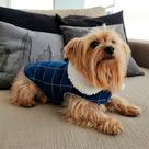 Roupa capa pet frio inverno ajustável 13 tamanhos fácil de colocar cachorro e gato square Cor:VerdeTamanho:6 Roupa capa pet frio inverno ajustável 13 tamanhos fácil de colocar cachorro e gato square Cor:VerdeTamanho:6