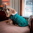 Roupa capa pet frio inverno ajustável 13 tamanhos fácil de colocar cachorro e gato square Cor:VerdeTamanho:6