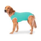 Roupa Cirúrgica Confortpet Regular Macho e Fêmea Verde para Cães - Tamanho 4