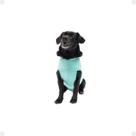 ROUPA CIRURGICA PARA Cachorro Pet Cães TIFANY DRY FIT UV