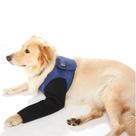 Roupa Coodeo Dog Recovery, alternativa de coleira cônica, manga de recuperação para cães resistente à abrasão, lavável com 2,5 mm de espessura e impermeável. Feridas em animais de estimação evitam lamber, mordem e mantêm secasazul, 2XS