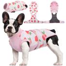 Roupa de Recuperação Kuoser para Cães e Gatos - Pós-Cirurgia