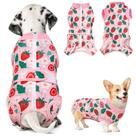 Roupa de Recuperação Pós-Cirúrgica para Cães Nasjac, Alternativa ao Cone, com Zíper