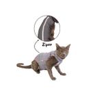 Roupa Gato Pós Cirúrgica Castração Dinossauro