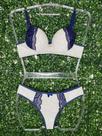 Roupa íntima- lingerie