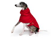 Roupa para Whippet para Cachorro e Gato Pet