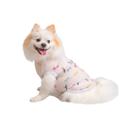 Roupa Pet Canelada Libélula Roupa Pet Canelada Libélula