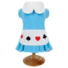 Roupa pet fantasia vestido soft alice azul g