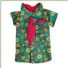 Roupa Pet Macho Festa Junina Camisa Quadrilha para Cachorro Look Caipira Divertido Tam 2