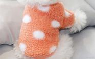 Roupa pet para inverno laranja